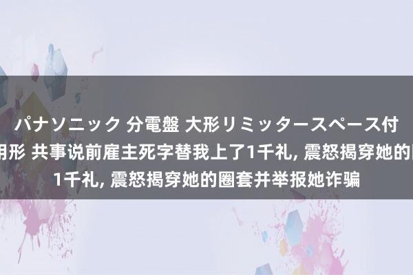 パナソニック 分電盤 大形リミッタースペース付 露出・半埋込両用形 共事说前雇主死字替我上了1千礼， 震怒揭穿她的圈套并举报她诈骗