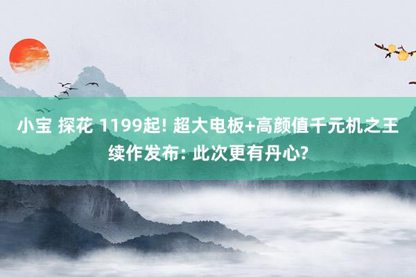 小宝 探花 1199起! 超大电板+高颜值千元机之王续作发布: 此次更有丹心?