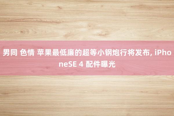 男同 色情 苹果最低廉的超等小钢炮行将发布， iPhoneSE 4 配件曝光