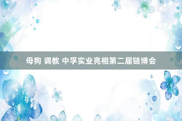 母狗 调教 中孚实业亮相第二届链博会