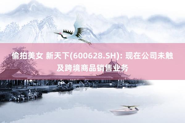 偷拍美女 新天下(600628.SH): 现在公司未触及跨境商品销售业务